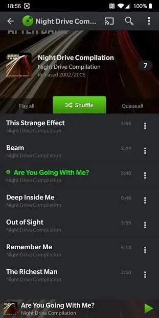 PlayerPro Music Player screenshot