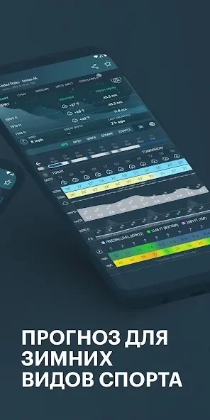 Windy.app - Wind Wellen Gezeiten screenshot